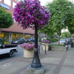 Eugene city center street scene