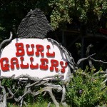 Burl Gallery