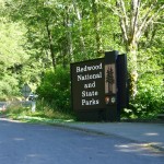 Entrance to the Redwood National & State Parks